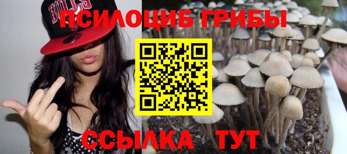 Псилоцибиновые грибы Psilocybine cubensis  наркошоп  Кулебаки  Вход с VPN 