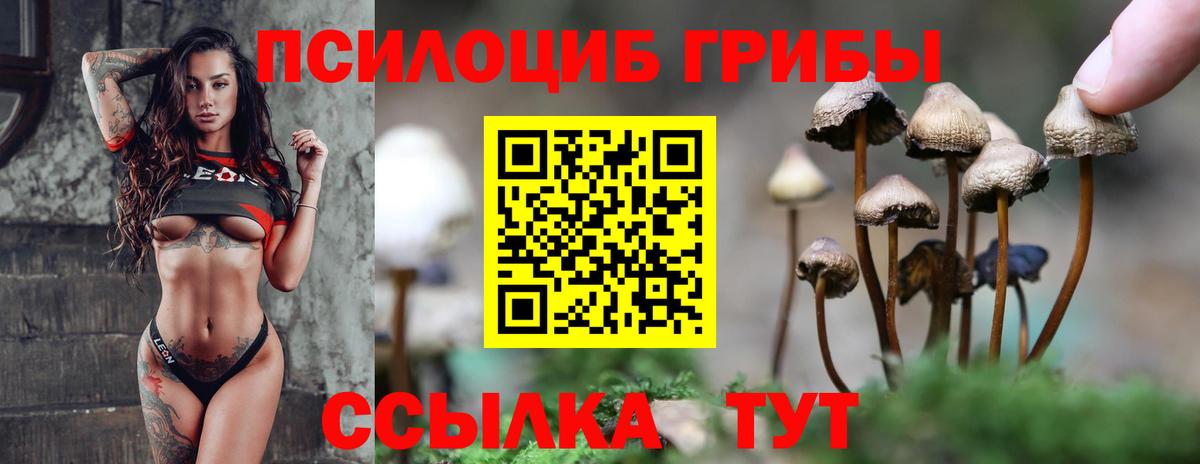 Псилоцибиновые грибы прущие грибы Кулебаки